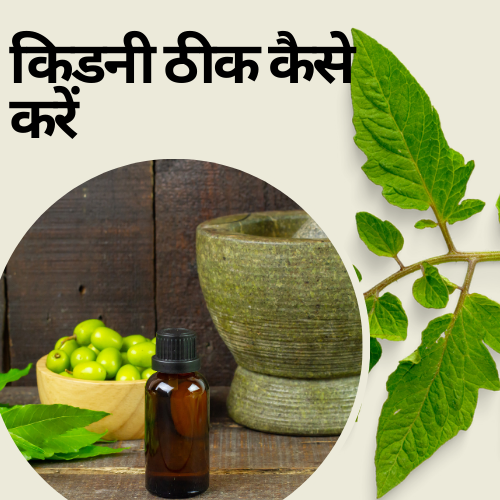 किडनी ठीक कैसे करें