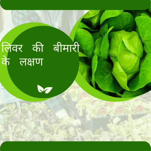 लिवर की बीमारी के लक्षण