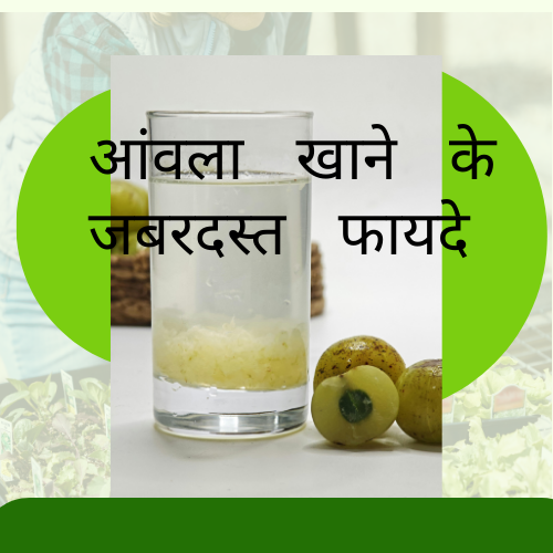 आंवला में भरपूर मात्रा में Vitamin C पाया जाता है। रोज़ाना आंवला खाने से शरीर की रोग-प्रतिरोधक क्षमता बढ़ती है और सर्दी-खांसी, वायरल और इंफेक्शन से बचाव होता है।